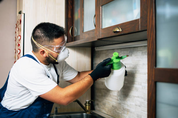 Best Exterminator Services  in Ellis, KS