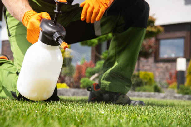 Best Termite Control Services  in Ellis, KS