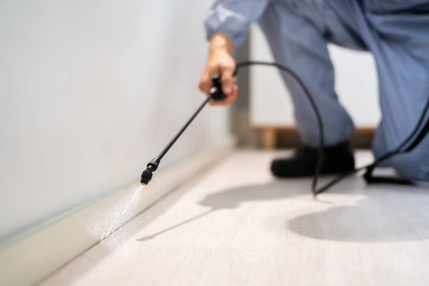 Flea Control Services in Ellis, KS