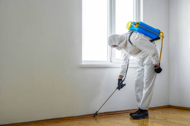 Best Pest Prevention Services  in Ellis, KS
