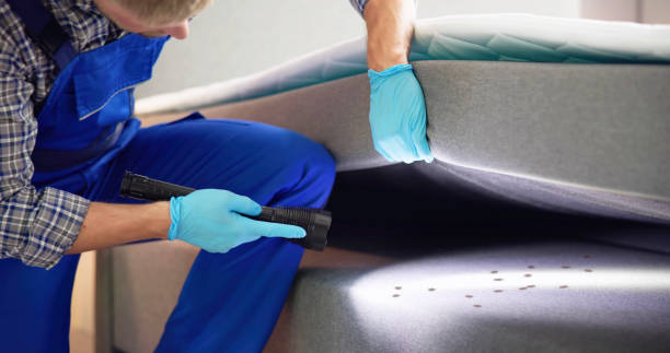 Best Ant Control Services  in Ellis, KS