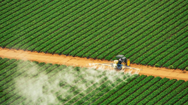 Best Best Pest Control Companies  in Ellis, KS