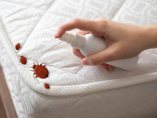 Ellis, KS Pest Control Company