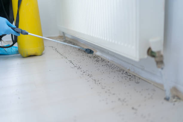 Best Affordable Pest Control Services  in Ellis, KS