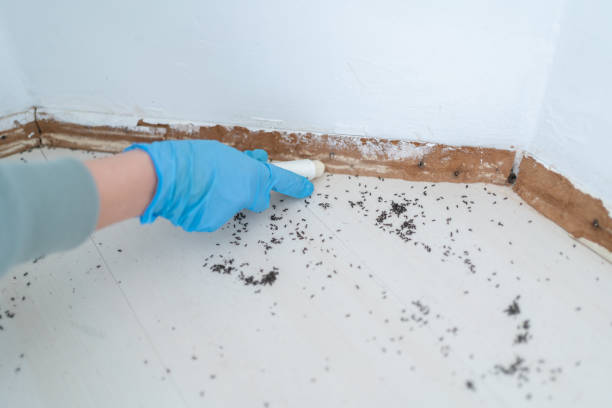 Best Commercial Pest Control Services  in Ellis, KS