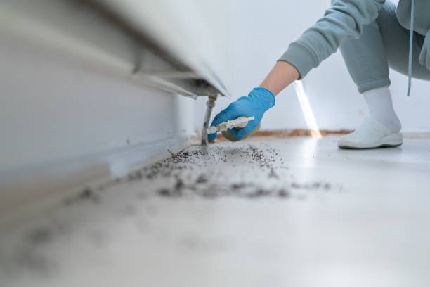 Best Bed Bug Extermination  in Ellis, KS
