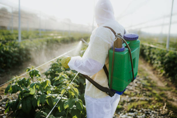 Best Wildlife Control Services  in Ellis, KS